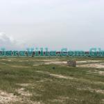 NEAT AND SPACIOUS DEVELOPING ESTATE HALF PLOT @ TSOPOLI NEW AIRPORT CITY