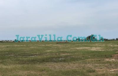 NEAT AND SPACIOUS DEVELOPING ESTATE HALF PLOT @ TSOPOLI NEW AIRPORT CITY