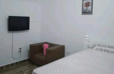 Furnished 1 Bedroom apartment@ North Slajo