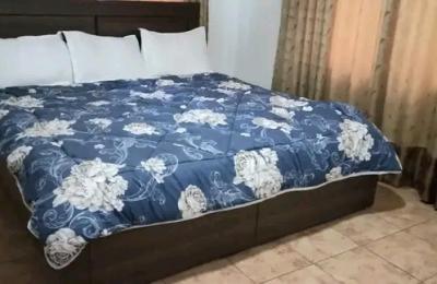 Furnished 5Bedroom House@ East legon