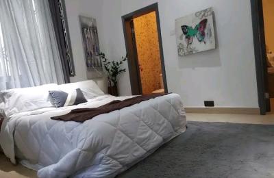Serviced furnished 3Bedroom flat@ East Airport