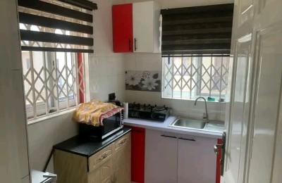 Furnished $studio apartment@ Tseaddo