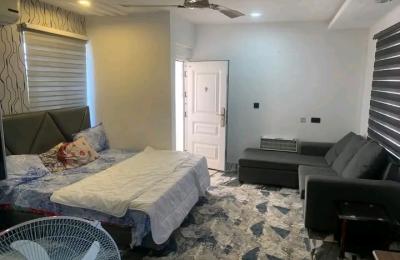 Furnished $studio apartment@ Tseaddo