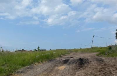 SPECIAL HALF PLOT SALES @ TEMA COMMUNITY 25 DEVTRACO