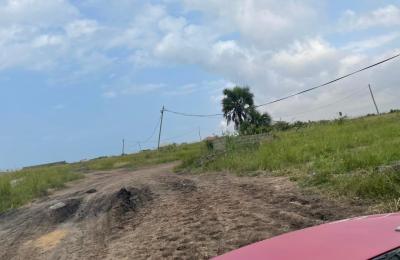 SPECIAL HALF PLOT SALES @ TEMA COMMUNITY 25 DEVTRACO