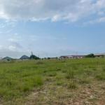 SELECT HALF PLOT // FREE DOCUMENTS @ PRAMPRAM BEACH LANE