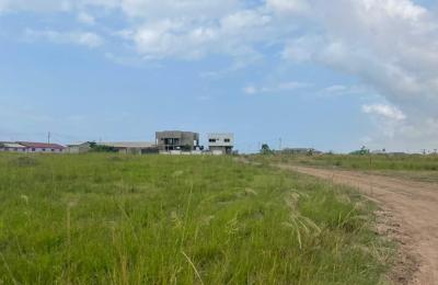 SELECT HALF PLOT // FREE DOCUMENTS @ PRAMPRAM BEACH LANE