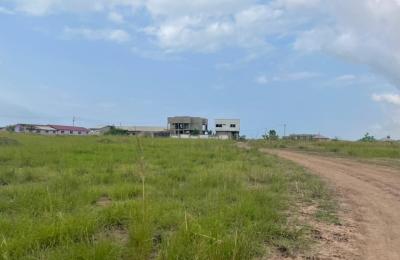 ELEGANT DISCOUNT REDUCTION ON PLOTS @ TSOPOLI
