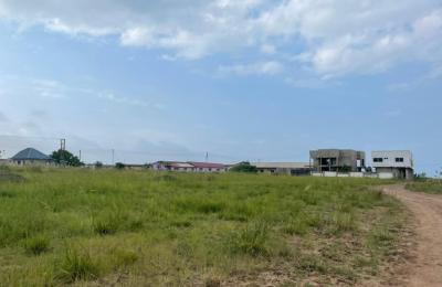 SELECT HALF PLOT // FREE DOCUMENTS @ PRAMPRAM BEACH LANE