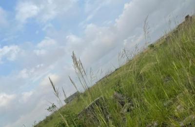 REGISTERED PLOT PICKING @ PRAMPRAM BEACH LANE