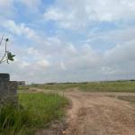 JUMBO OFFERS PLUS FREE DOCUMENTS ON LANDS @ TSOPOLI