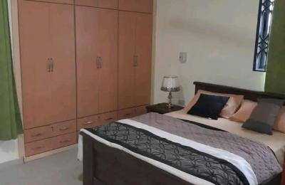 furnished 2Bedroom Apartment@ Dome paraku