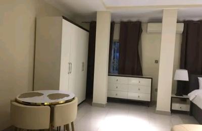 Service Furnished studio apartment@ North Risge