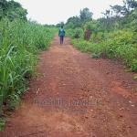 Agricultural/Farmland for Sale @Enyan Maim/Ajumako
