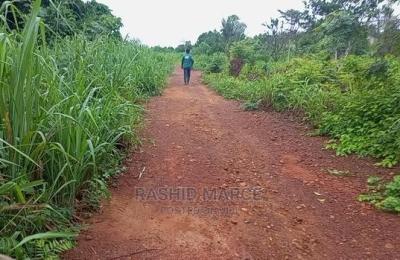 Agricultural/Farmland for Sale @Enyan Maim/Ajumako