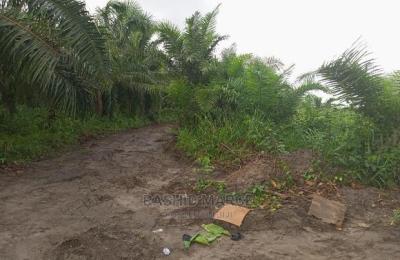 Agricultural/Farmland for Sale @Enyan Maim/Ajumako