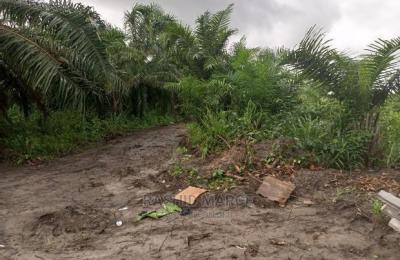 Agricultural/Farmland for Sale @Enyan Maim/Ajumako