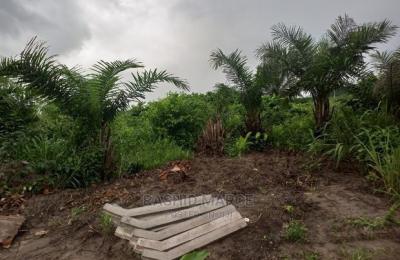 Agricultural/Farmland for Sale @Enyan Maim/Ajumako