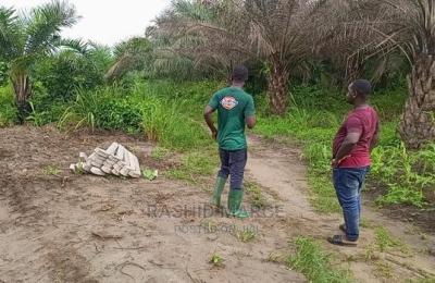 Agricultural/Farmland for Sale @Enyan Maim/Ajumako