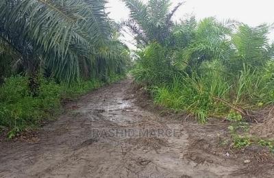 Agricultural/Farmland for Sale @Enyan Maim/Ajumako