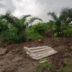 Agricultural/Farmland for Sale @Enyan Maim/Ajumako