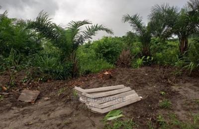 Agricultural/Farmland for Sale @Enyan Maim/Ajumako