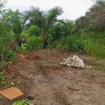 Agricultural/Farmland for Sale @Enyan Maim/Ajumako