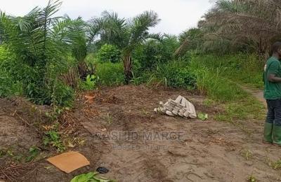 Agricultural/Farmland for Sale @Enyan Maim/Ajumako