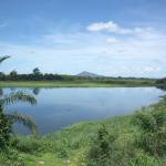Farm lands