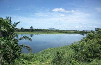 Farm lands