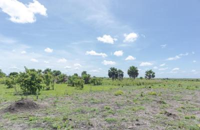 Farm lands