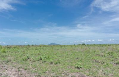 Farm lands