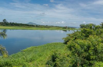 Farm lands