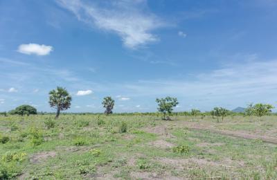 Farm lands