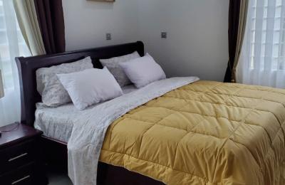 3 bedroom fully furnished at Adjiringanor