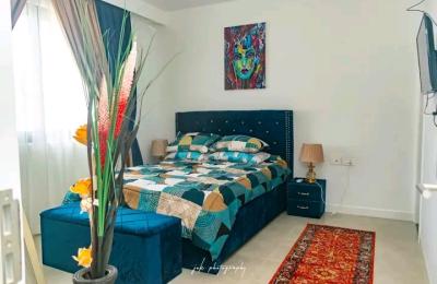 Serviced 2 Bedroom furnished aparrment@aitport city
