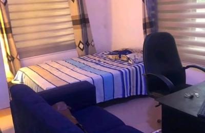 Serviced 2 Bedroom furnished aparrment@aitport city