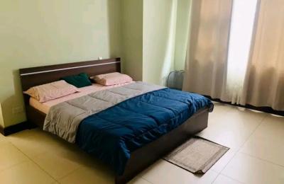 Fully furnished 3Bedroom townhouse@ Adjringanor
