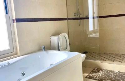Serviced furnished 3Bedroom apartment@ cantonment