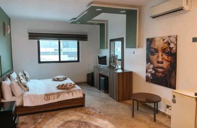 Studio furnished apartment@ osu
