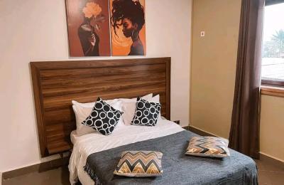 Studio furnished apartment@ osu