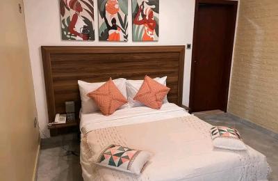 Studio furnished apartment@ osu