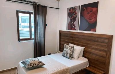 Studio furnished apartment@ osu