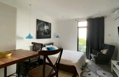 Serviced furnished 1 Bedroom apartment@ cantonment