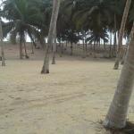 LAND FOR SALE AT ELMINA BEACH FRONT