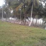 LAND FOR SALE AT ELMINA BEACH FRONT
