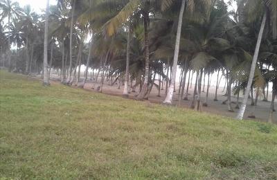 LAND FOR SALE AT ELMINA BEACH FRONT