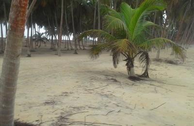 LAND FOR SALE AT ELMINA BEACH FRONT