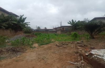 1/2plot of land@ chantan