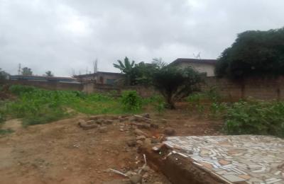 1/2plot of land@ chantan